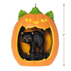 Hallmark Happy Halloween! Ornament -Hallmark Black Cat Pumpkin Diorama Keepsake Ornament 1799QFO5311 03