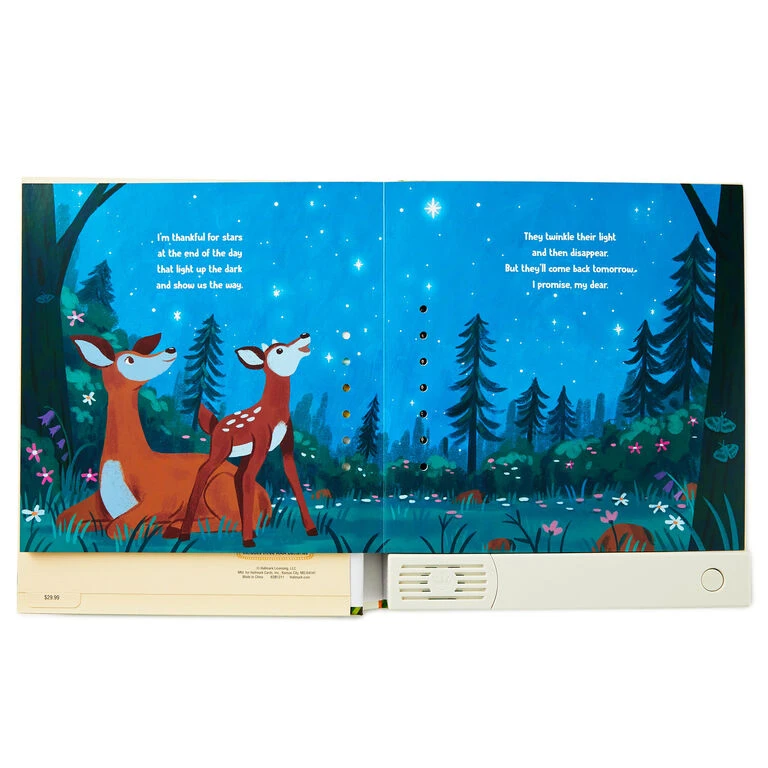Hallmark I'm Thankful For You Recordable Storybook 3 Hallmark I'm Thankful For You Recordable Storybook - Image 3