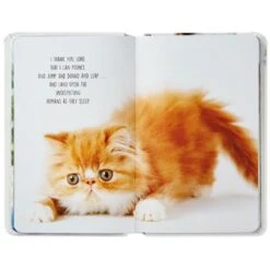 Hallmark Pet Prayers: Funny Pleas And Praise From Our Animal Friends Book -Hallmark Pet Prayers Funny Pleas and Praise From Our Animal Friends Book root 1BOK1418 BOK1418 1470 3.jpg Source Image