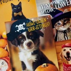 Hallmark Pet Puns Boxed Halloween Cards Assortment, Pack Of 48 -Hallmark Pet Puns Boxed Halloween Cards Assortment 5ELT1013 03