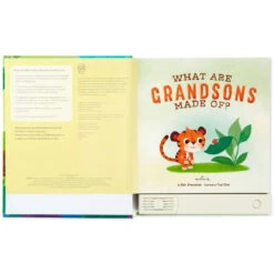 Hallmark What Are Grandsons Made Of? Recordable Storybook 7 Hallmark What Are Grandsons Made Of? Recordable Storybook -Hallmark What Are Grandsons Made Of Recordable Storybook 1KOB1230 03